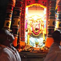 20101119_Photo_1110_IMG_8252 - Copy_CMP_WM